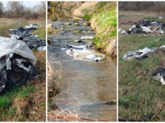 Śmietnisko nad i w potoku Witoszówka. Kombinat obiecuje porządki