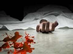 Gang kantorowców – reaktywacja