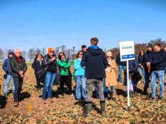 BASF ocenia uprawy. Wiosenna ochrona rzepaku i zbóż rusza