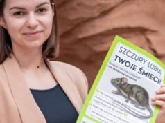 Wrocławianie mają problem z segregacją śmieci. Rusza kampania „Wrzuć do kosza”