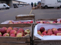 Czy to początek końca drewnianych skrzynek? Związek Sadowników pyta sadowników