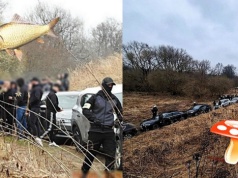 Albo kibice tłumnie poszli na grzyby, albo policja zapobiegła ustawce na 200 osób