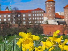 Co robić w pierwszy wiosenny weekend w Krakowie?