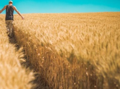 Ukraiński oligarcha sprzedaje 14 tysięcy hektarów gruntów. Nabywcą inny holding rolny