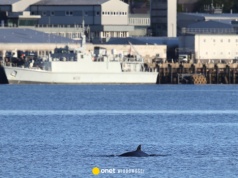 Okręty z bronią nuklearną na celowniku szpiegów z Iranu. Royal Navy reaguje