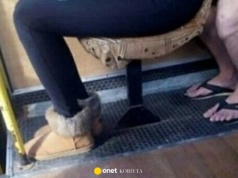 Pierwszy dzień wiosny na wesoło. Zobacz najlepsze memy