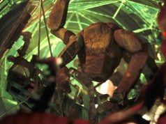 Najnowszy film science fiction jest hitem. Takiego otwarcia nie miała żadna nowość z 2026 roku