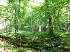 Jedyne takie miejsce w Wielkopolsce. Mało kto wie, że w ogóle istnieje