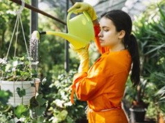 Zrobisz je w święta. Nie wyrzucaj, twoje rośliny ci podziękują