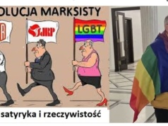 Granice wstydu? Decyzja NSA i polityczna euforia