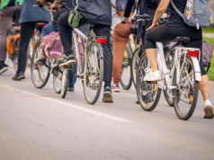 Prosta maszyna bez silnika. Dzięki niej człowiek najefektywniejszy w świecie zwierząt