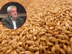 Zboże zalega w magazynach, a ceny nie rosną. Ardanowski: To może być katastrofa przed żniwami