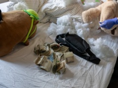 Funkcjonariusze KAS musieli wybebeszyć pluszaki, żeby sprawdzić, czy nie ma w nich pieniędzy i były