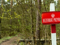 Ochrona środowiska ważniejsza od PKB. Nowe wyniki badań opinii publicznej