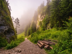 Magiczny szlak, który znajdziesz w Polsce. Legendy głoszą, że jest tam ukryty skarb
