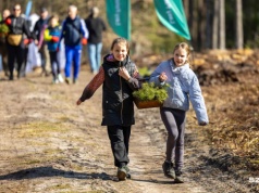 Kilka tysięcy nowych drzewek w Nadleśnictwie Trzebież