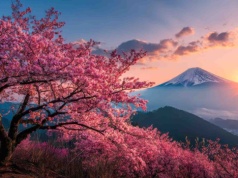 Tak świat świętuje pierwszy dzień wiosny. Niektóre zwyczaje Cię zaskoczą