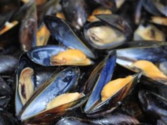 Jeden z najlepszych produktów, jakie znajdziesz na dziele rybnym. Polacy wzdrygają się na samą myśl