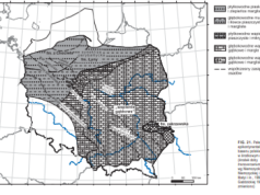 Bezpłatna monografia "Budowa geologiczna Polski - stratygrafia"