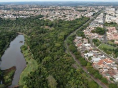 Ranking polskich miast z największą ilością lasów. Liderzy mogą zaskoczyć