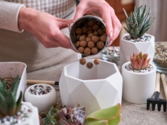 Zapomnij o keramzycie. Ogrodnicy coraz częściej z niego rezygnują. Co użyć zamiast niego?