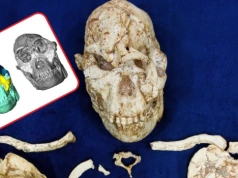 Naukowcy zrekonstruowali twarz „Małej Stopy”. Zauważyli nieoczekiwane podobieństwo