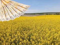 Będą dopłaty do odsetek do kredytów dla rolników