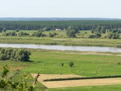 W Polsce mamy "śródziemnomorską wyspę”. Ziemia nagrzewa się tu do 70°C