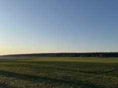 134 ha do dzierżawy. KOWR wystawia rzadką nieruchomość rolną w Wielkopolsce