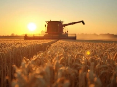 Koniec skarg na rolników? Rząd szykuje przepisy, które mogą zmienić życie na wsi