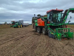 Spółdzielnia w Gronowicach. Oto jak 11 rolników na 450 ha wygrywa z rynkiem zbóż i rzepaku