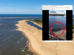 Niezwykły widok nad Bałtykiem. "To dopiero pierwszy weekend wiosny"