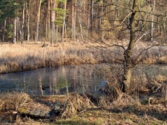 Dziś Światowy Dzień Wody. Polska żyje na „wodny kredyt”
