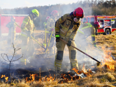 Pożary na terenach niezurbanizowanych. Powstał nowy program szkolenia