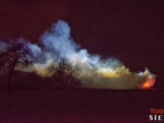 Mazowieckie w czołówce pożarów traw. Tysiące interwencji strażaków i rosnący problem
