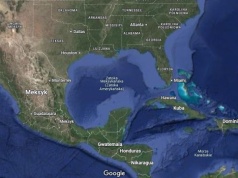 Wyciek ropy w Zatoce Meksykańskiej; martwe żółwie, delfiny i manaty