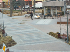 Awantura w Garwolinie. Zniszczona krowa i atak na policję