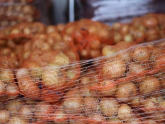 Import cebuli do Polski pod kontrolą jednego kraju. Kto dominuje na rynku?