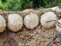 Jak dinozaury opiekowały się jajami? Nowe odkrycia naukowców o inkubacji