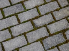 Wylej na kostkę. W całości "wyżre" brud i mech