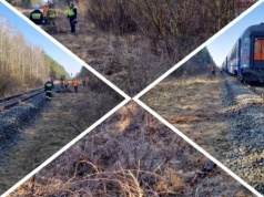 Pociąg "Żubr" zderzył się... z żubrami. Służby ratunkowe podsumowują akcję. ZOBACZ ZDJĘCIA