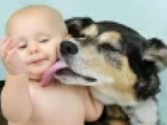 Pies zagryzł noworodka