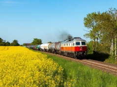 Ukraiński olej rzepakowy nowym hitem w eksporcie do UE. Przez popyt na biopaliwa