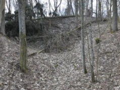 Zaginione miasto w środku puszczy. Polscy archeolodzy odkryli intrygujące miejsce