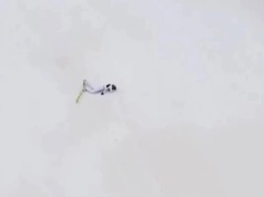 Upadek Kacpra Tomasiaka w Vikersund. Są najnowsze informacje o stanie zdrowia polskiego skoczka