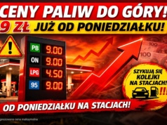 Dwa grzyby w… bak Donalda Tuska