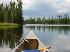 Polskie wody w coraz gorszym stanie. Beata Olejarz, prezes PZW, o skali problemu