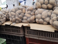 Polska już nie jest krajem ziemniaka? Coraz więcej sprowadzamy z Niemiec