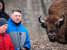 1500 sztuk i 6 mln zł strat. Odszkodowania już nie wystarczają