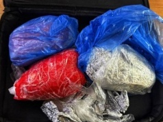 ZOMBIE siał zagrożenie w Ostrowie